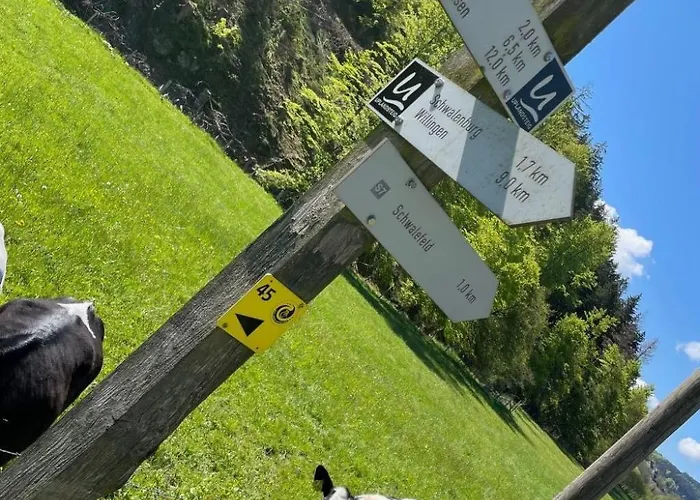 Renovierte In Schwalefeld Mit Garten- Terrasse Und Grill By Interhome Appartamento