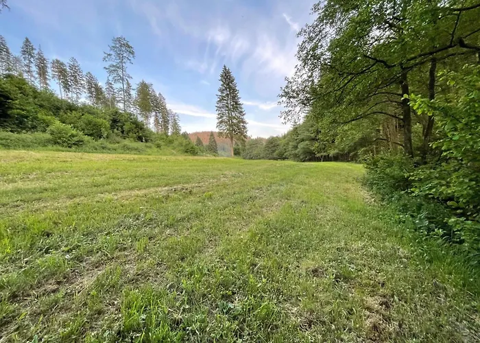 Appartamento Renovierte In Schwalefeld Mit Garten- Terrasse Und Grill By Interhome