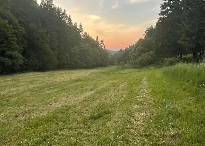 Renovierte In Schwalefeld Mit Garten- Terrasse Und Grill By Interhome شقة فيلنغن