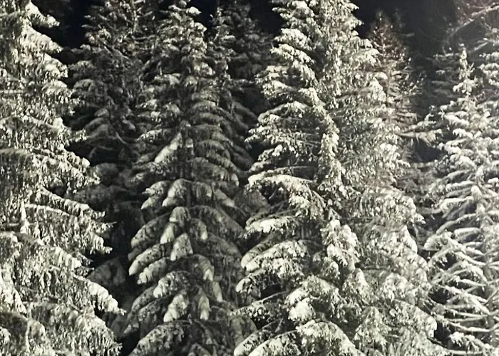 شقة Renovierte In Schwalefeld Mit Garten- Terrasse Und Grill By Interhome *